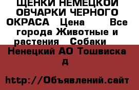 ЩЕНКИ НЕМЕЦКОЙ ОВЧАРКИ ЧЕРНОГО ОКРАСА › Цена ­ 1 - Все города Животные и растения » Собаки   . Ненецкий АО,Тошвиска д.